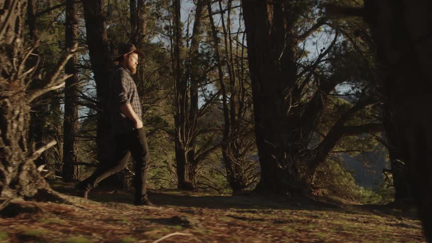 A man walks in the woods