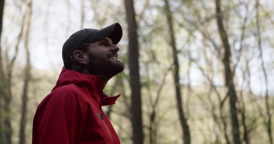 A man is standing in a wooded area looking up at the trees