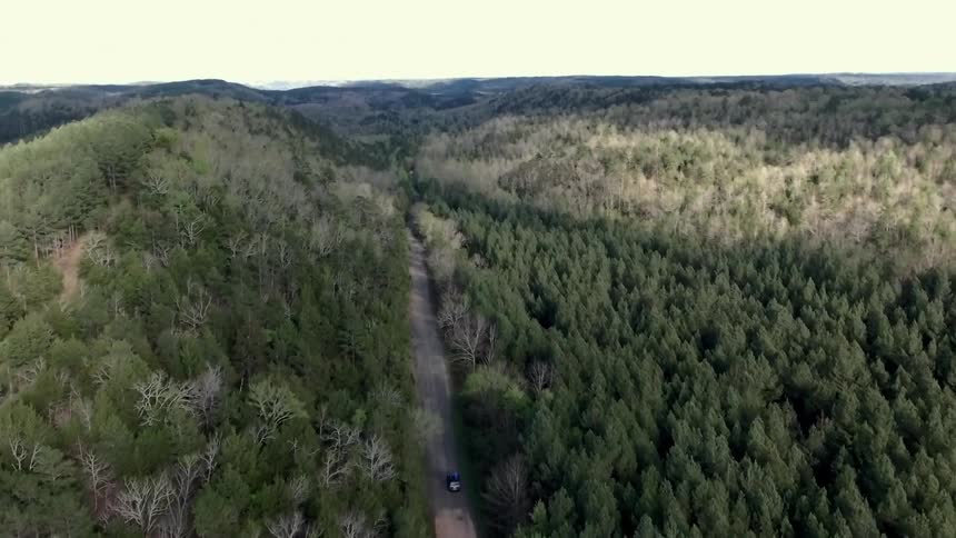Aerial view  of a vehicle driving a road through a thickly wooded area