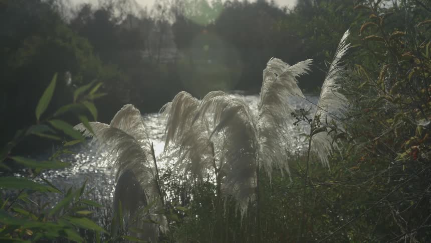 Sunshine glistens off of flowing water