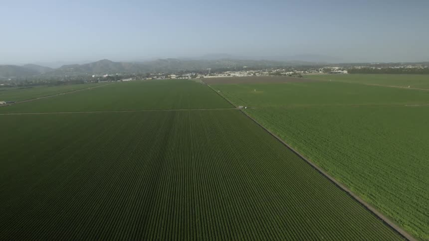 Aerial view of some very green flat lands