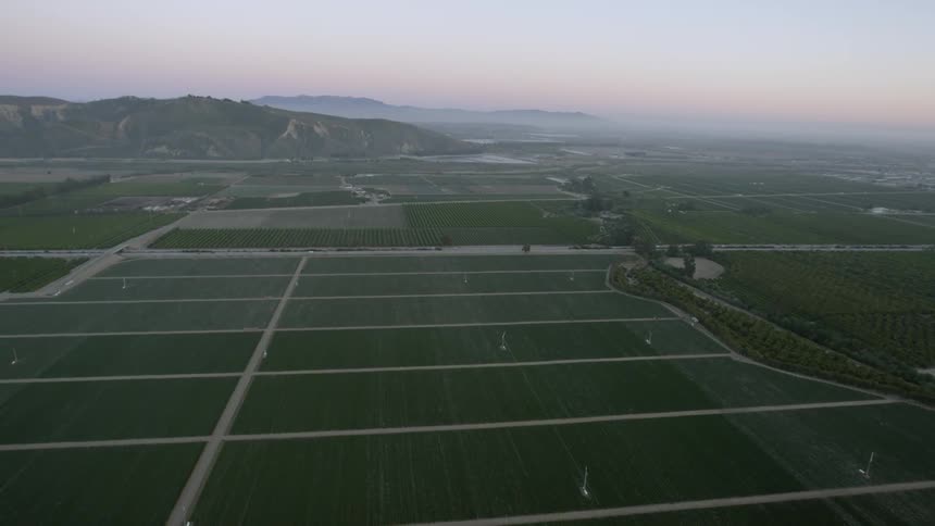 Fields of crops are shown from above