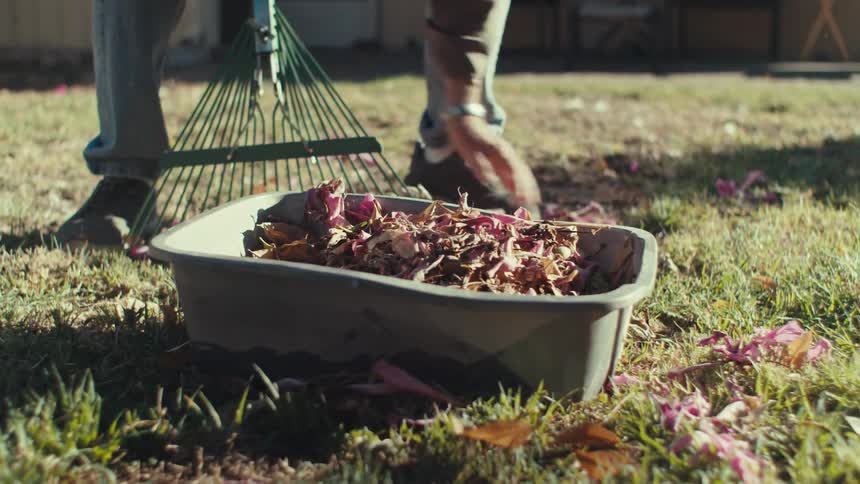A man rakes leaves and dumps them in a small bin in his yard