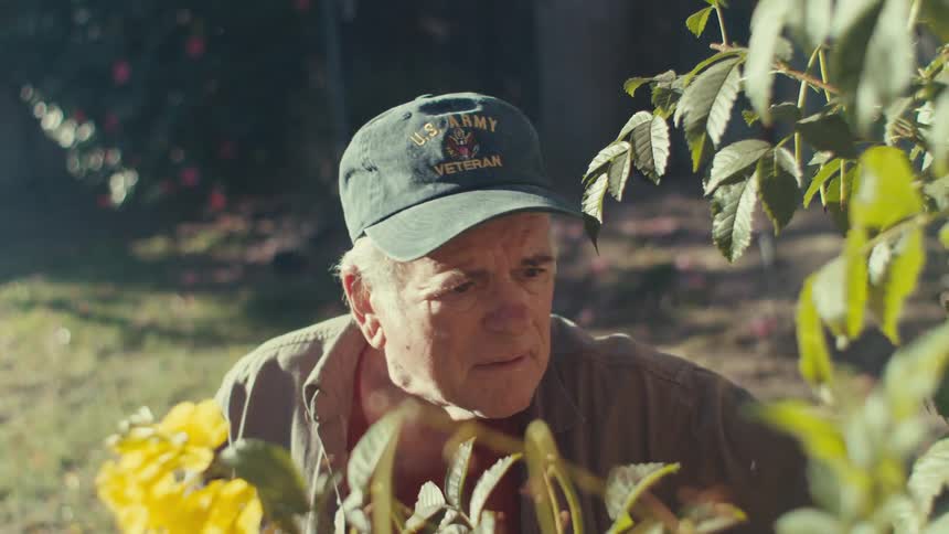 A man is pruning his garden on a sunny day