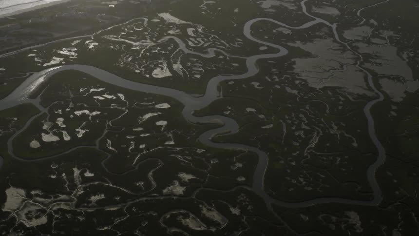 An aerial view of a winding river with many tributaries