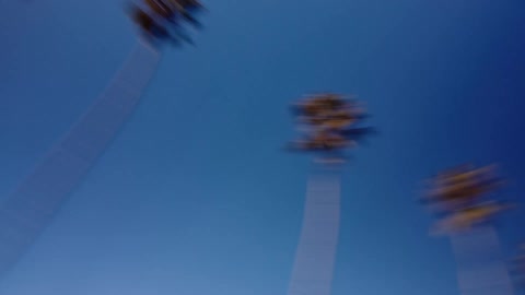 Slow shutter camera spinning looking up at rows of tall palm trees