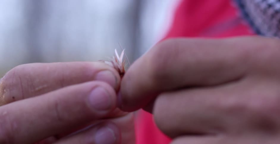A person puts lure on a fishing line