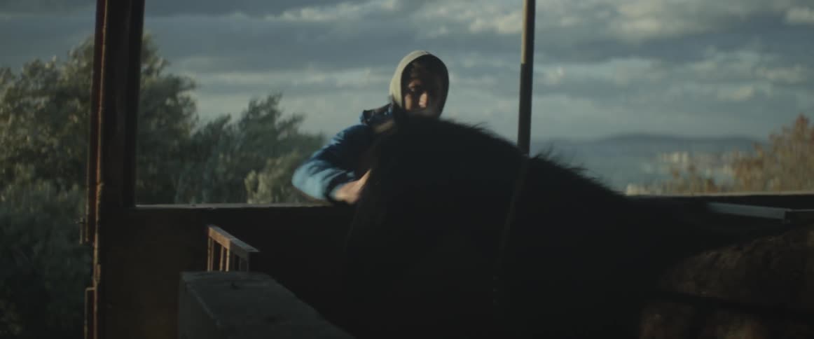A man pets a small black horse