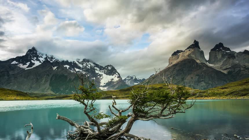 Storm clouds over a mountain range as water moves in a lake near a small tree