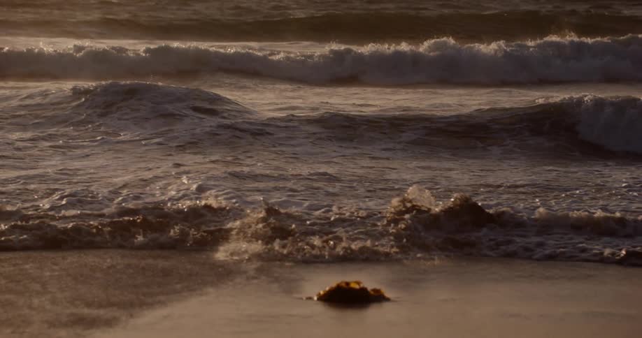 Waves rolling into the shoreline at sunrise