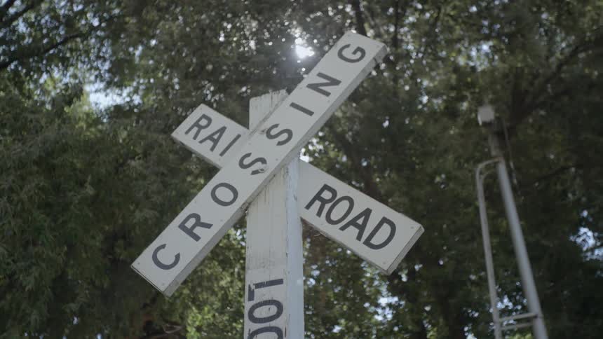 A railroad crossing sign stands near some trees during the day
