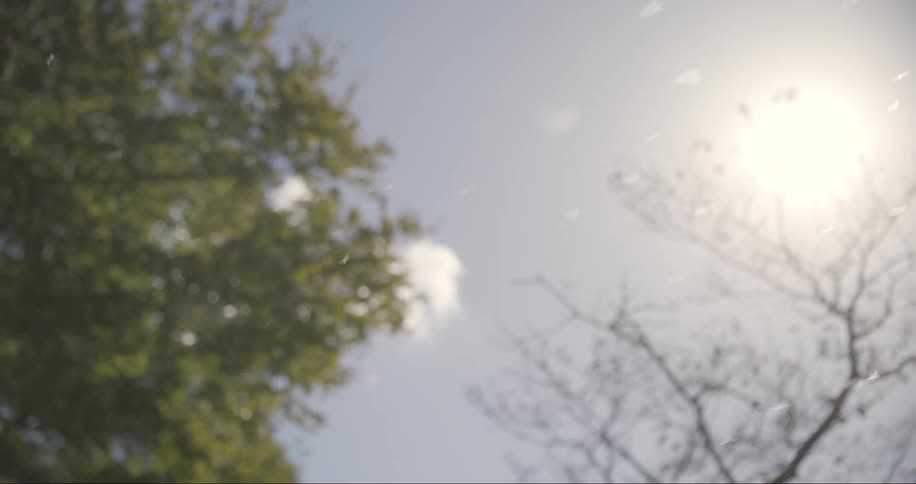 A clip of the sky on a snowy day
