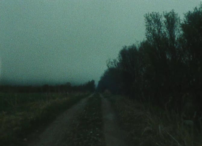 A car drives down a rural lane next to trees and a grassy plain