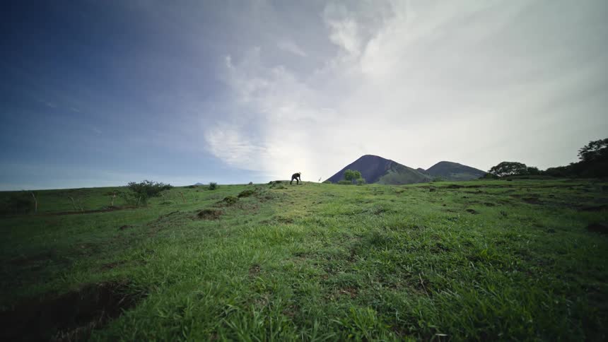 A person swings a tool against the ground on a grassy plain in a rural area