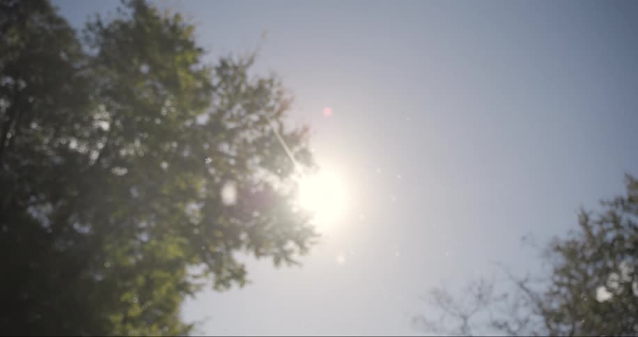 A clip of a winter season
