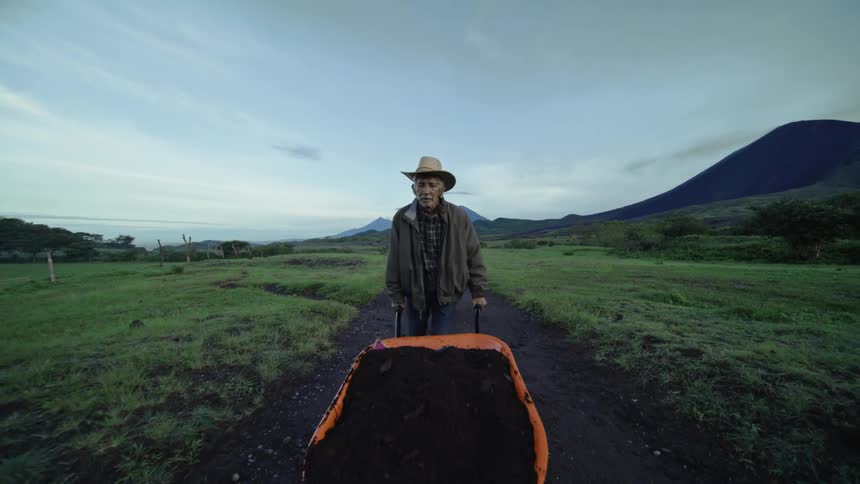 Elderly man walking with a cart full of soil through a farm field
