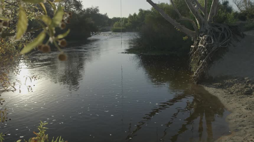 View of a tree lined river