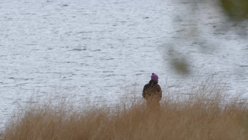 A person is standing on a shoreline on a cold day