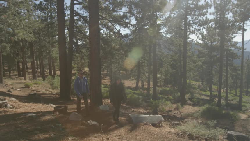 Hikers walk through trees in the woods