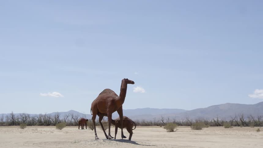 Wildlife statues including a camel and its young on a mostly clear day