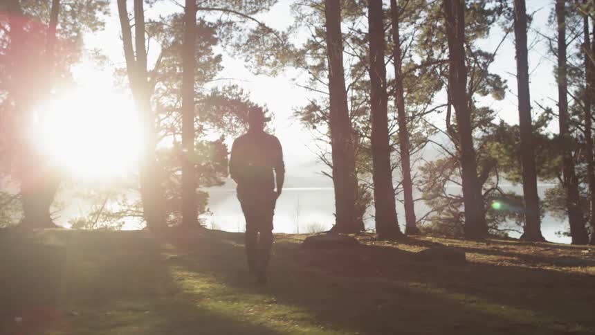 A person walking in the woods