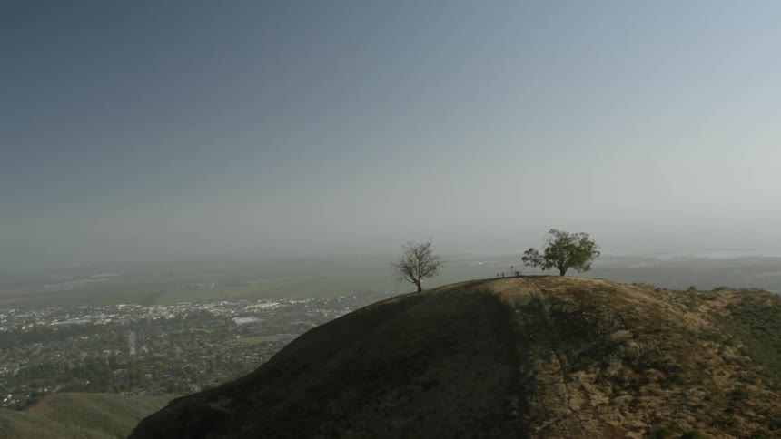 Two trees sitting high atop a mountain with a city in the background valley