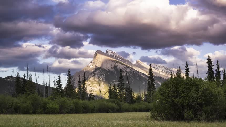 Landscape on a cloudy day of a green forest with snowy mountains in the background
