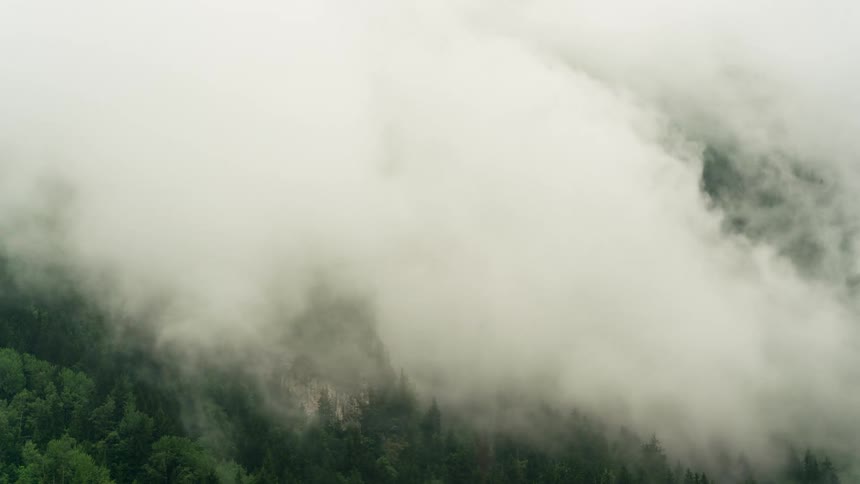 An aerial view of a dense forest shrouded in mist