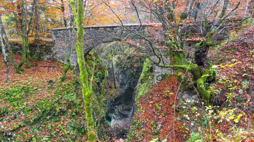 A clip of a bridge in the woods