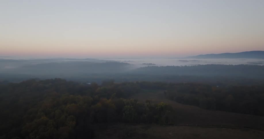 An aerial clip of a forest
