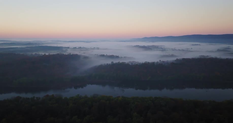 An aerial clip of the forest