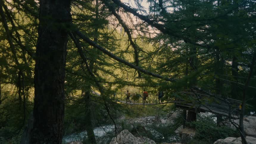 A group of males crosses a bridge while hiking in a forest