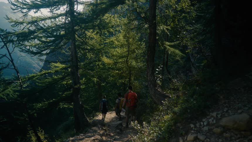 Three hikers walk down a steep dirt path in a dense forest
