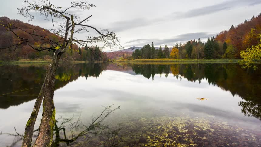 A serene lake reflects the autumnal colors of the surrounding forest
