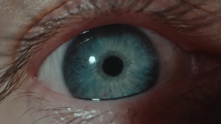 An eye blinks revealing a bluish green iris