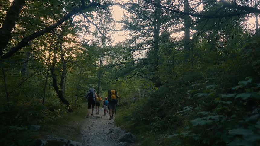 A group of hikers with backpacks walks down a path through a wooded area seen from a distance