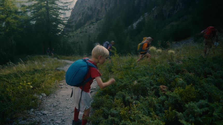 A young boy picks wild berries while hiking with a group of people on a mountain trail