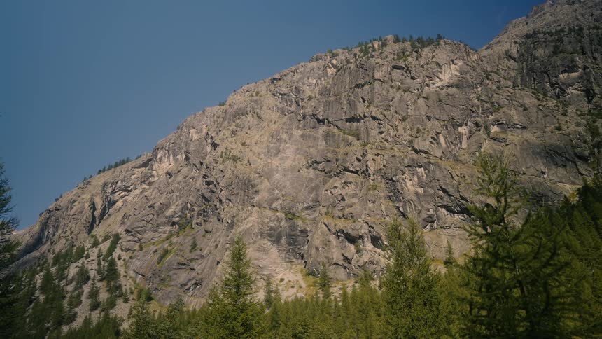 Rocky wall of a mountain with green conifers in the foreground