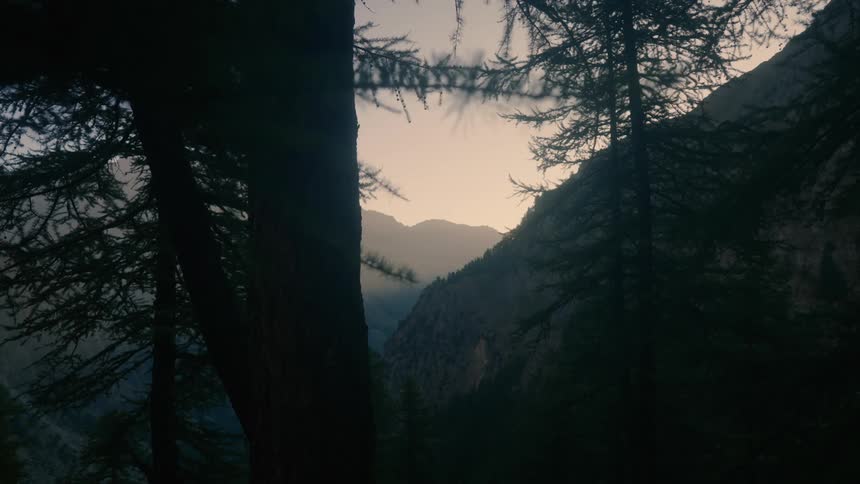 A sun low in the sky silhouettes a mountain range and forest
