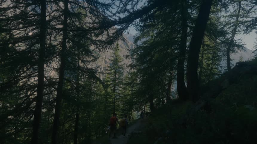A group of hikers move down a path on the side of a hill in a forest