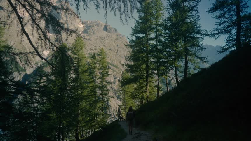 Person walking on a trail on a mountain with conifers