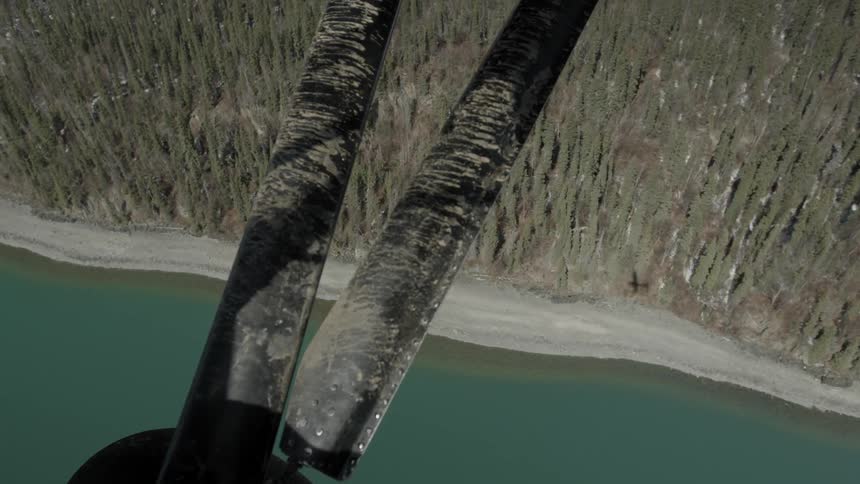 Shadow of a small plane moving along a shoreline as seen from the plane itself