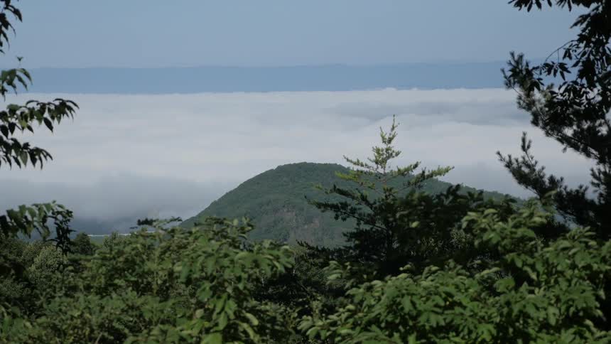 A view through trees of thick clouds behind a mountain peak