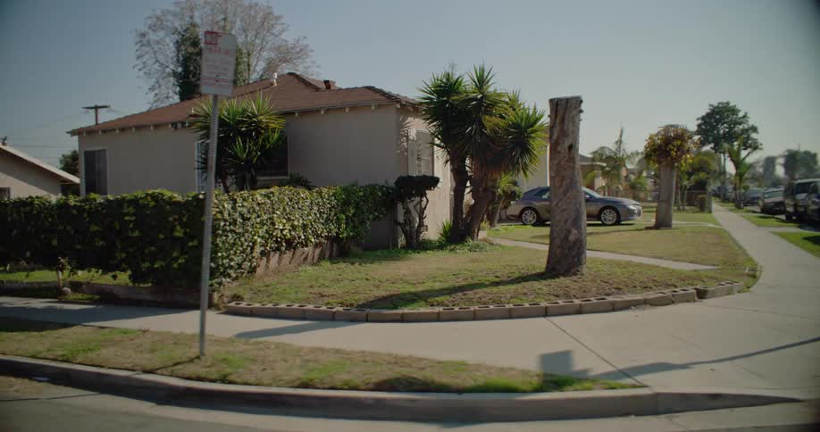 The sunlit suburban street lined with palm trees and houses exudes a sense of peaceful tranquility
