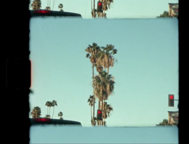 Several palm trees stand next to a city street on a sunny day