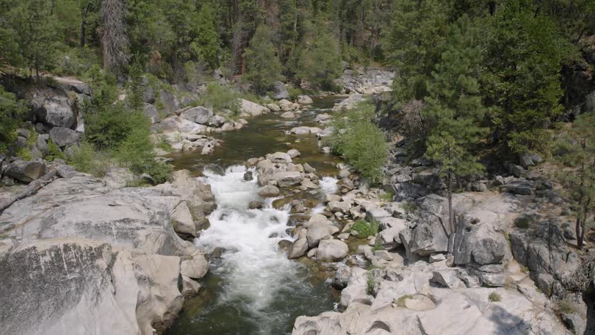 A creek flowing over rocks and surrounded by trees