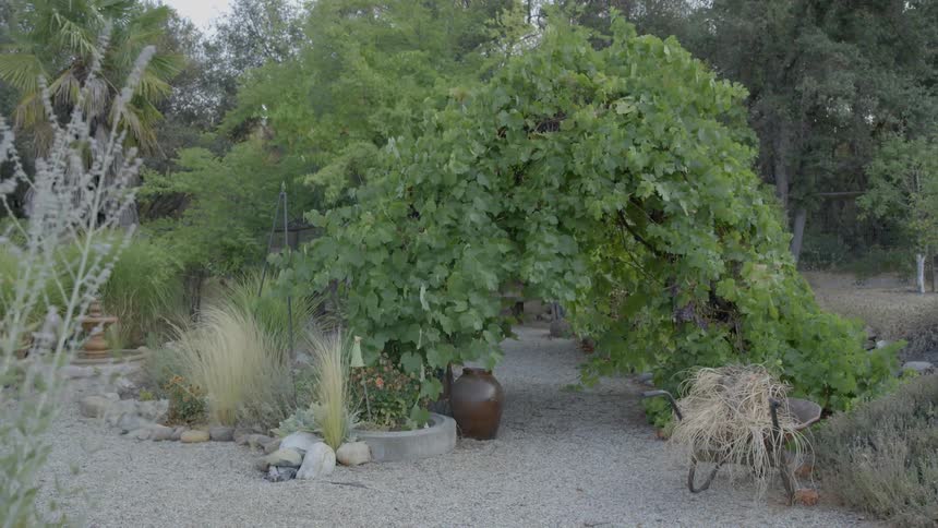 A yard is filled with gardening supplies and lined with trees