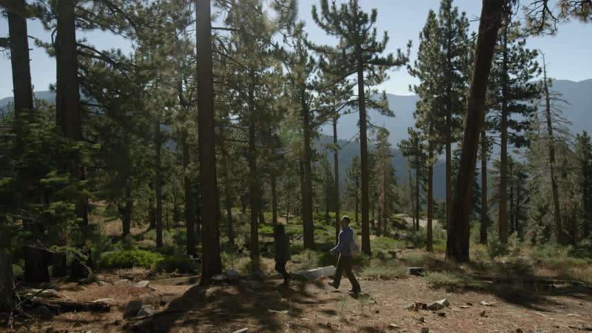A man and woman are walking in a forested area during the day