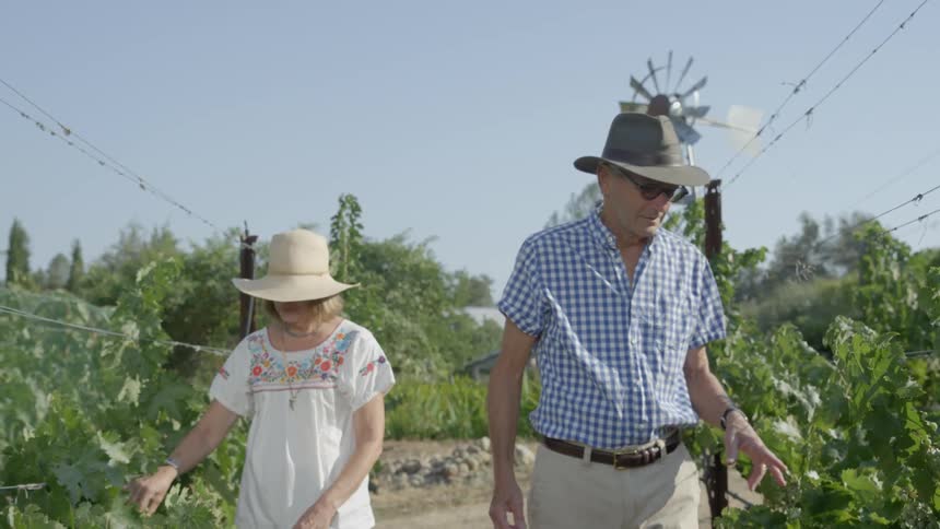 Elderly couple  inspecting their crops on a clear day