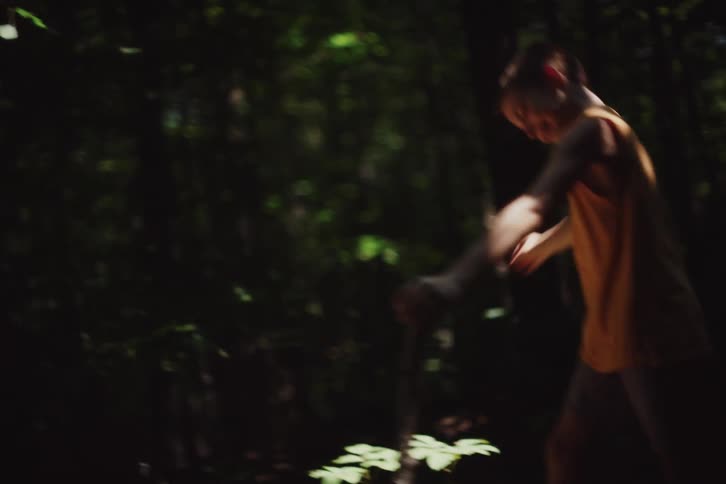 Children are playing in the forest